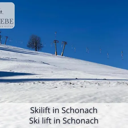 Exklusives 5-sterne Waldliebe Mit Indoor-pool, Sauna, Lage Und Ausblick In Natur, Hunde Willkommen Apartment *