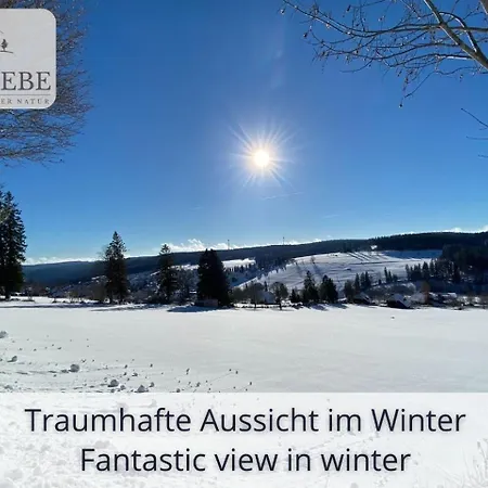 아파트 Exklusives 5-sterne Waldliebe Mit Indoor-pool, Sauna, Lage Und Ausblick In Natur, Hunde Willkommen Schonach im Schwarzwald