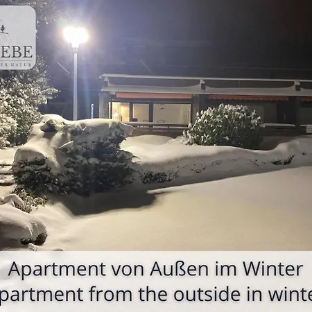 Apartment Neu Exklusives Waldliebe Mit Indoor-pool, Sauna, Lage Und Ausblick In Natur, Hunde Willkommen