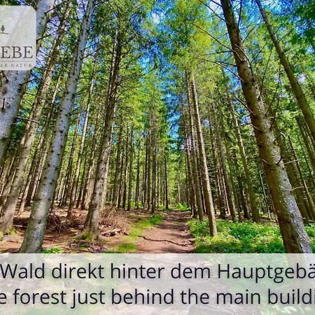 Exklusives 5-sterne Waldliebe Mit Indoor-pool, Sauna, Lage Und Ausblick In Natur, Hunde Willkommen * Schonach im Schwarzwald