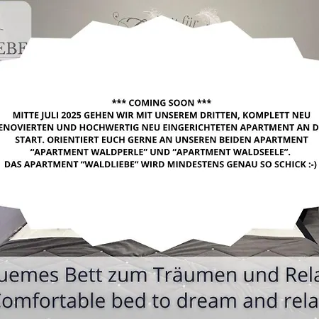 Neu Exklusives Waldliebe Mit Indoor-pool, Sauna, Lage Und Ausblick In Natur, Hunde Willkommen Apartment *