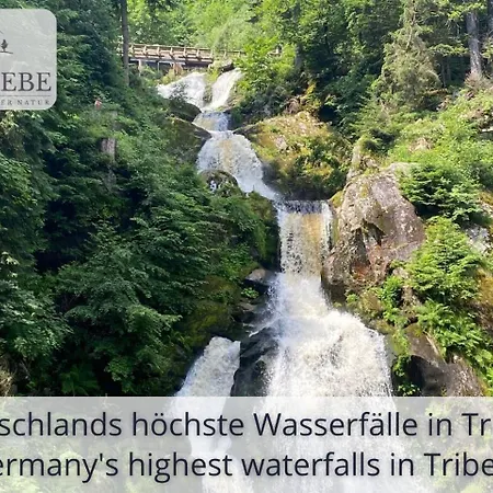 Exklusives 5-sterne Waldliebe Mit Indoor-pool, Sauna, Lage Und Ausblick In Natur, Hunde Willkommen Apartment