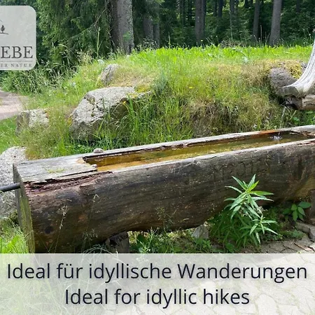 Exklusives 5-sterne Waldliebe Mit Indoor-pool, Sauna, Lage Und Ausblick In Natur, Hunde Willkommen Apartment *