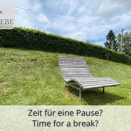 Neu Exklusives Waldliebe Mit Indoor-pool, Sauna, Lage Und Ausblick In Natur, Hunde Willkommen Schonach im Schwarzwald