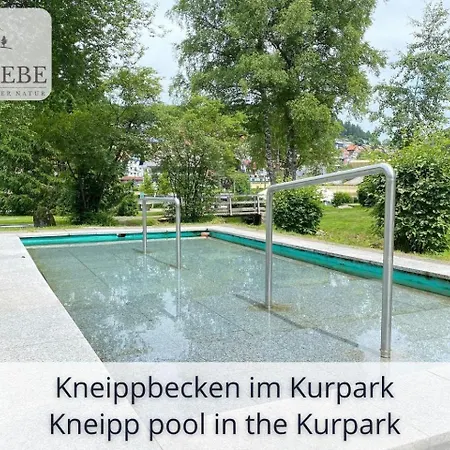 Exklusives 5-sterne Waldliebe Mit Indoor-pool, Sauna, Lage Und Ausblick In Natur, Hunde Willkommen