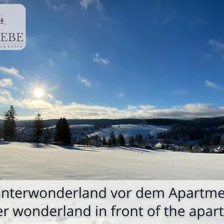 Neu Exklusives Waldliebe Mit Indoor-pool, Sauna, Lage Und Ausblick In Natur, Hunde Willkommen Schonach im Schwarzwald