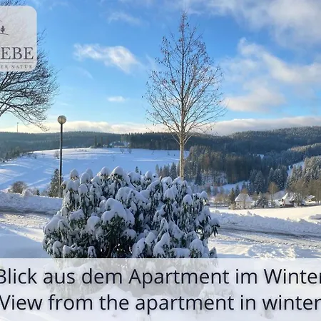 Exklusives 5-sterne Waldliebe Mit Indoor-pool, Sauna, Lage Und Ausblick In Natur, Hunde Willkommen Schonach im Schwarzwald