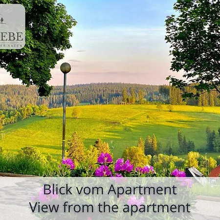 Exklusives 5-sterne Waldliebe Mit Indoor-pool, Sauna, Lage Und Ausblick In Natur, Hunde Willkommen Schonach im Schwarzwald