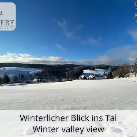 Neu Exklusives Waldliebe Mit Indoor-pool, Sauna, Lage Und Ausblick In Natur, Hunde Willkommen Apartment Schonach im Schwarzwald
