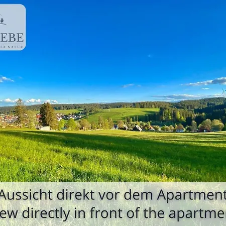 Exklusives 5-sterne Waldliebe Mit Indoor-pool, Sauna, Lage Und Ausblick In Natur, Hunde Willkommen Schonach im Schwarzwald