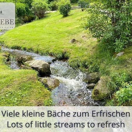 Apartment Exklusives 5-sterne Waldliebe Mit Indoor-pool, Sauna, Lage Und Ausblick In Natur, Hunde Willkommen Schonach im Schwarzwald