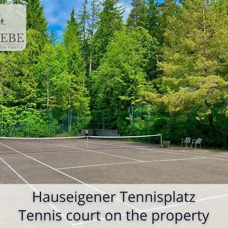 Exklusives 5-sterne Waldliebe Mit Indoor-pool, Sauna, Lage Und Ausblick In Natur, Hunde Willkommen Apartment Schonach im Schwarzwald